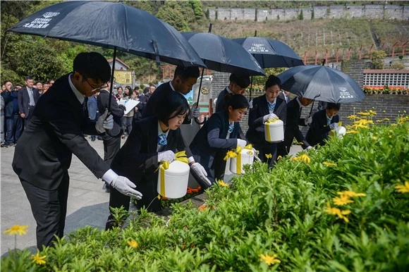 不给土地增负 重庆超7万群众选节地生态安葬